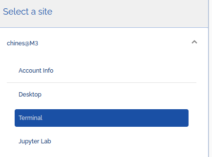 Select Terminal to launch VS Code remote server